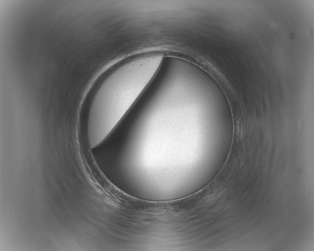 X0000066930724200603240908