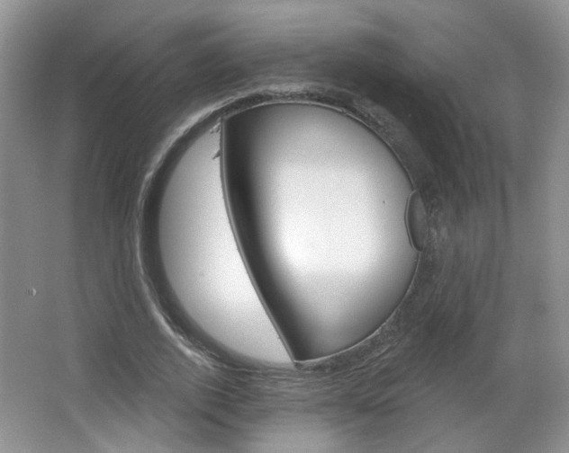 X0000066930728200603240908