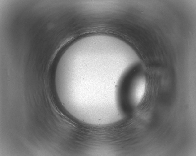 X0000066930731200603240908
