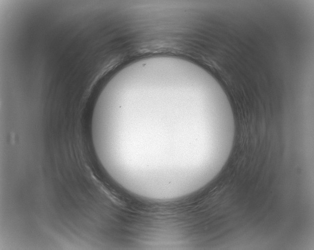 X0000066930735200603240908