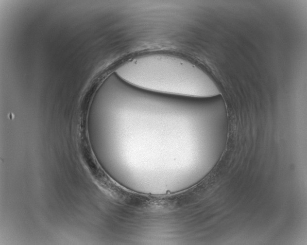 X0000066930736200603240908