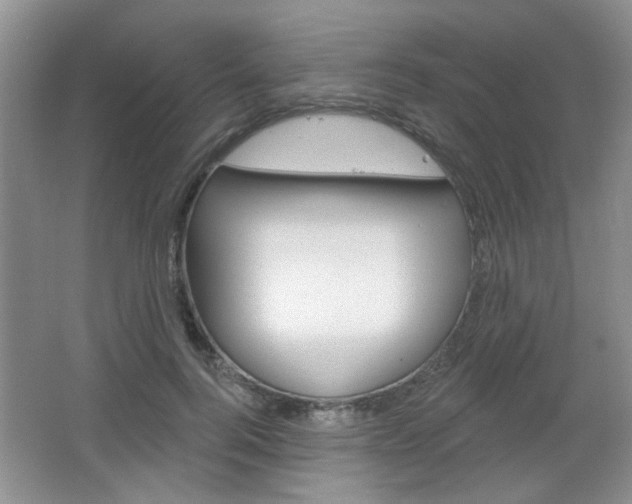 X0000066930744200603240908