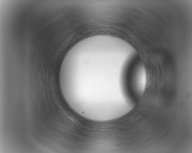 X0000066930750200603240908