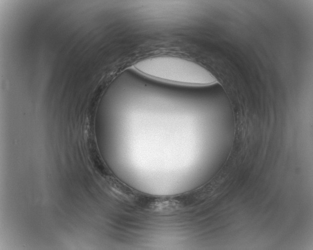 X0000066930752200603240908