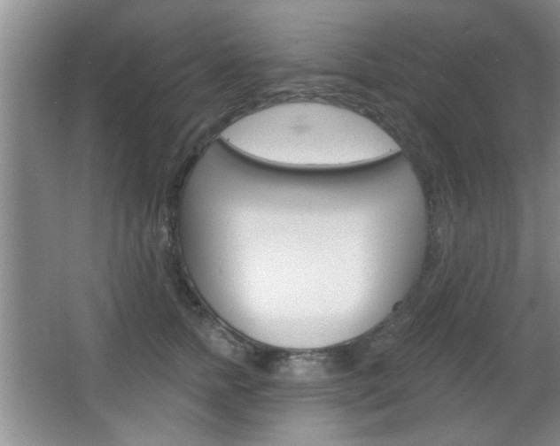 X0000066930758200603240908