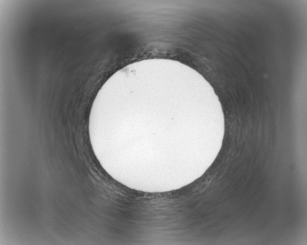 X0000066930769200603240908
