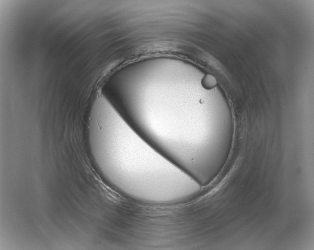 X0000066930777200603240907