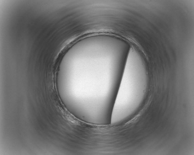 X0000066930781200603240907