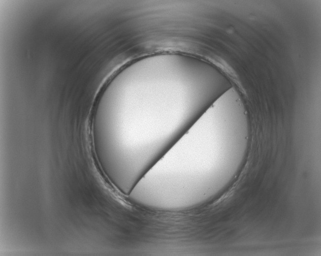 X0000066930798200603240907