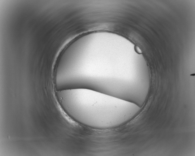 X0000066930800200603240907