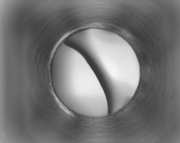 X0000066930808200603240907