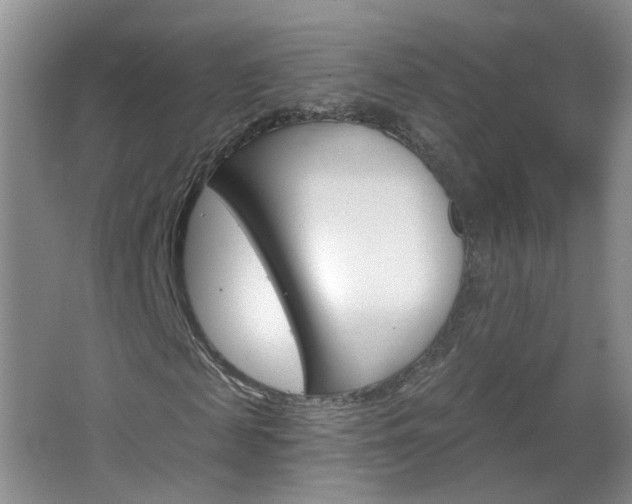 X0000066930817200603240906