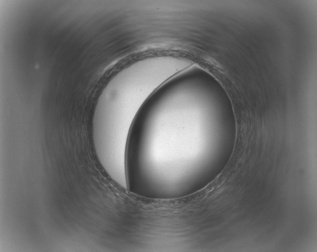 X0000066930822200603240906