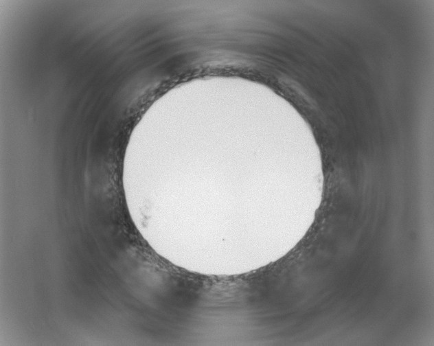 X0000066930824200603240906