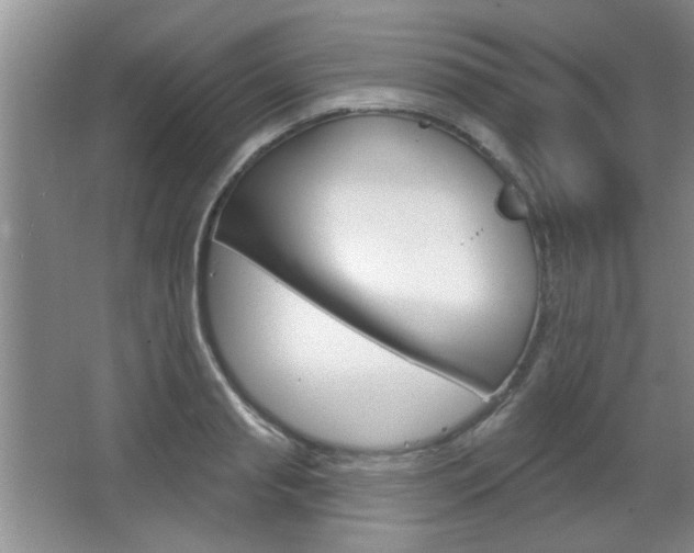 X0000066930845200603240906
