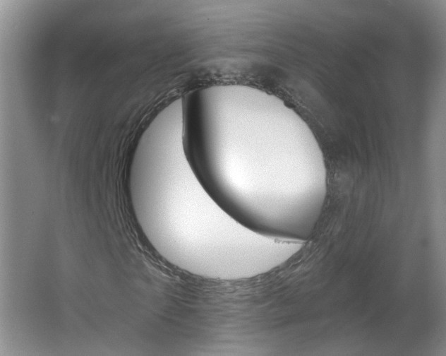 X0000066930865200603240906