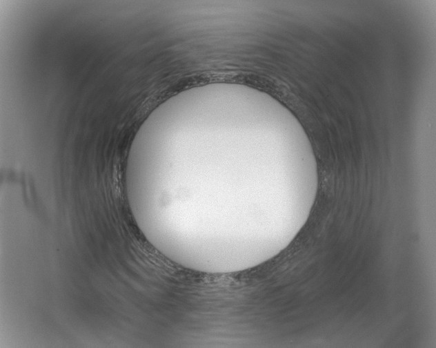 X0000066930866200603240906