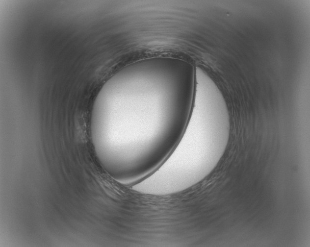 X0000066930868200603240906
