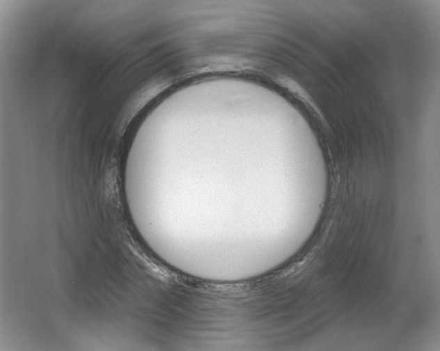 X0000066930874200603240906