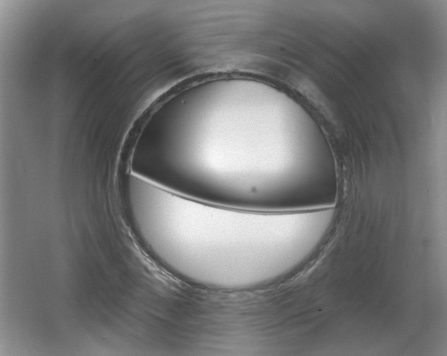 X0000066930876200603240906