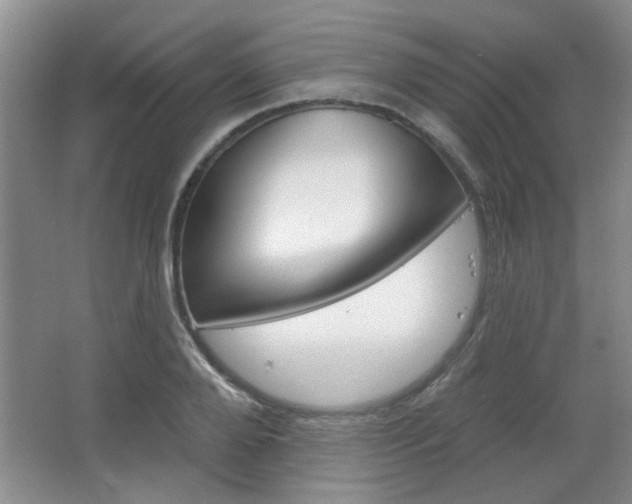 X0000066930888200603240906