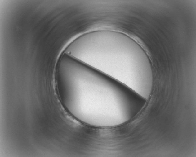 X0000066930904200603240905