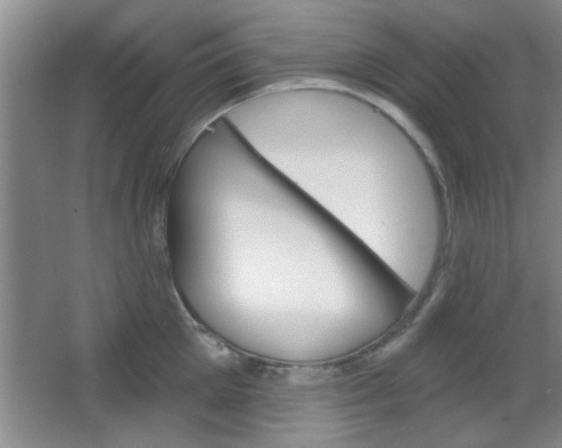 X0000066930905200603240905