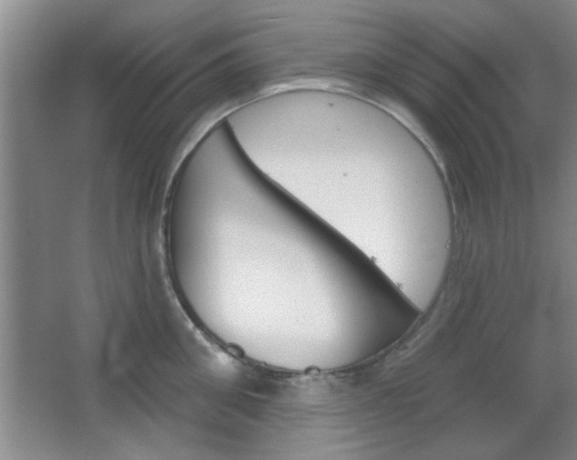 X0000066930906200603240905