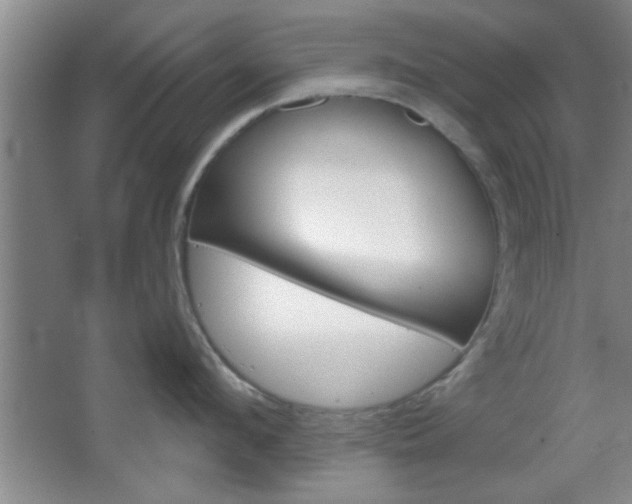 X0000066930912200603240905
