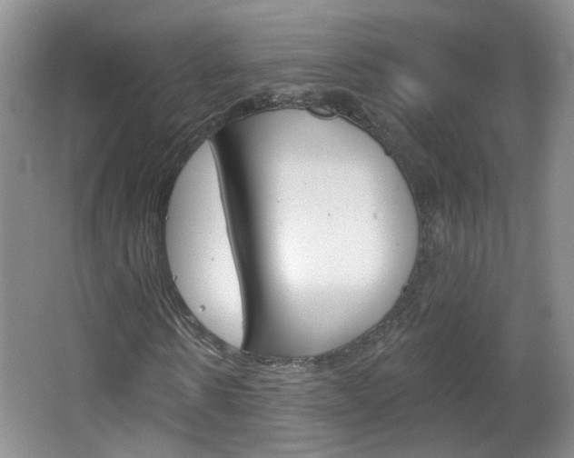 X0000066930914200603240904