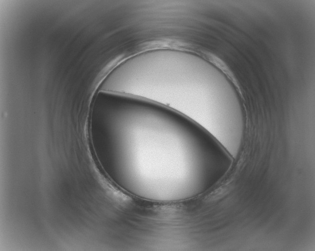 X0000066930946200603240905