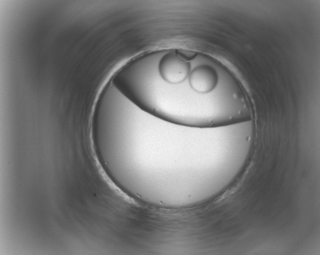 X0000066930949200603240905