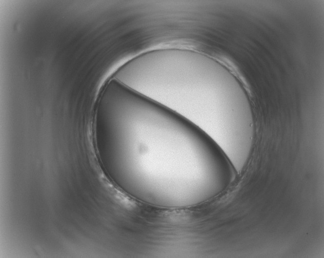 X0000066930952200603240905