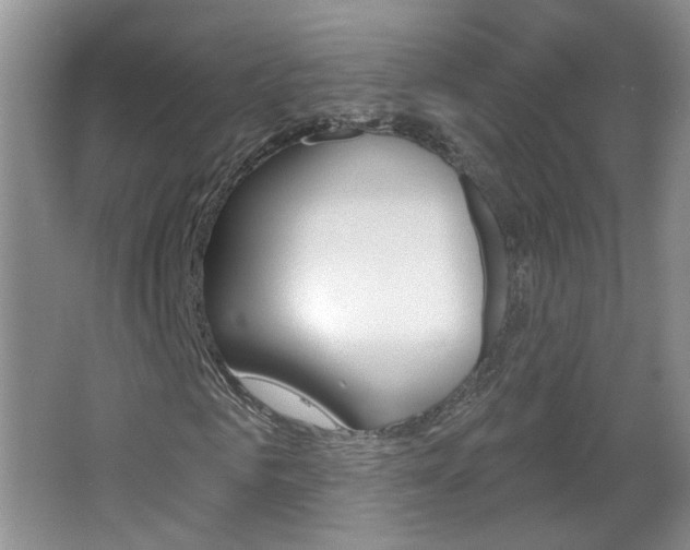 X0000066930961200603240904