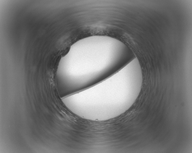 X0000066930964200603240904