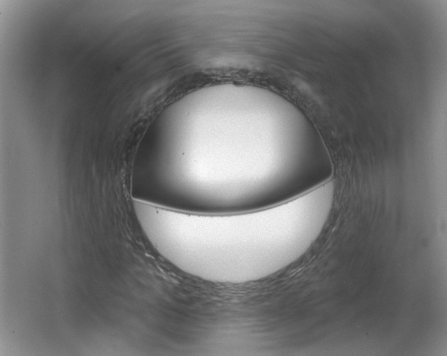 X0000066930965200603240904