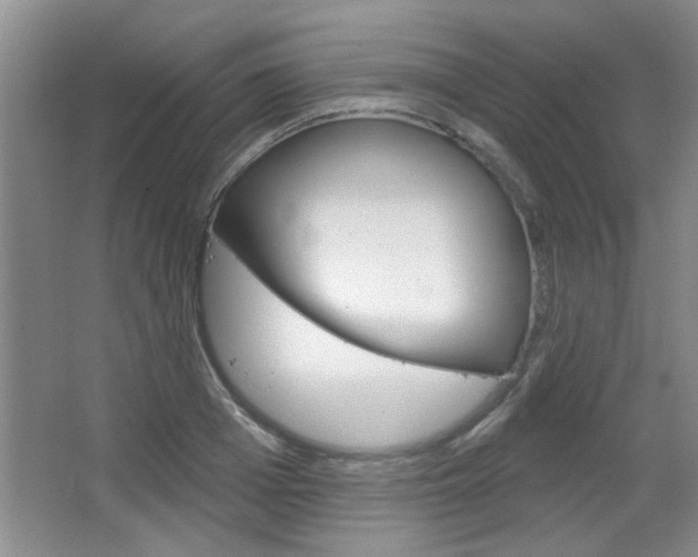 X0000066930985200603240904