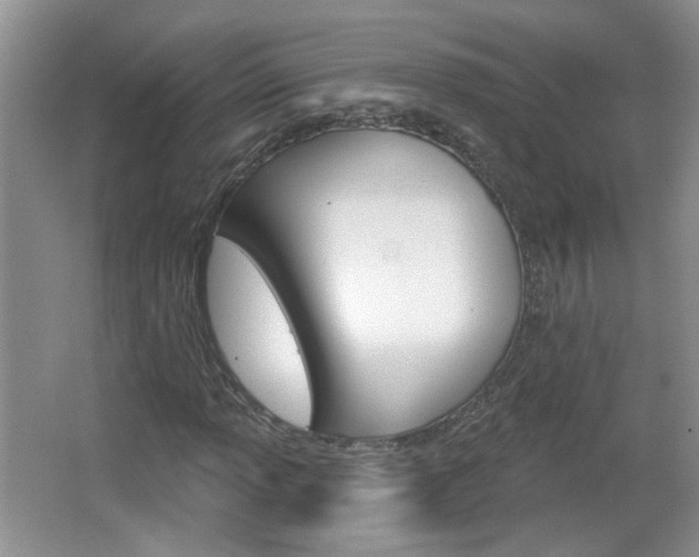 X0000066931013200603240903