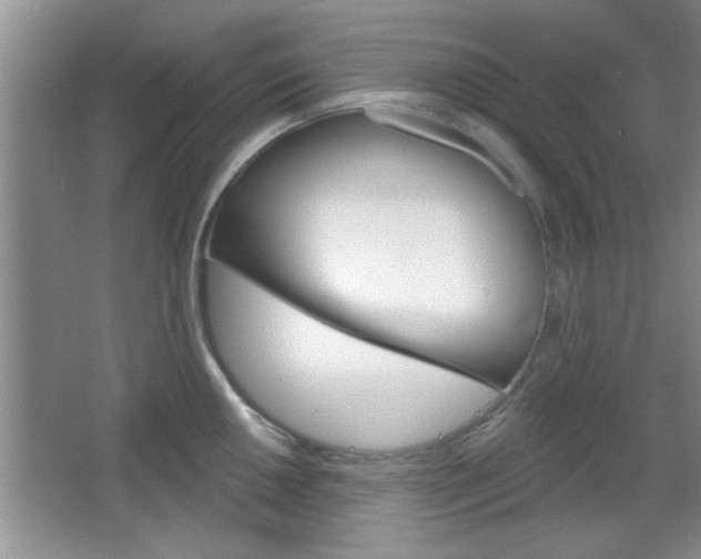 X0000066931050200603240903