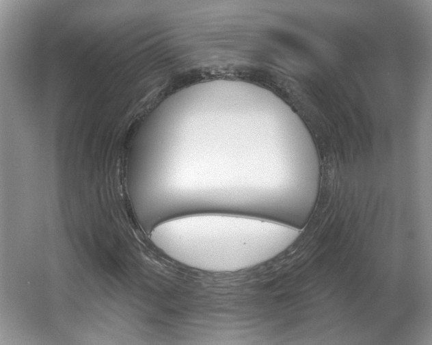 X0000066931060200603240903