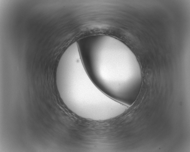 X0000066931061200603240903