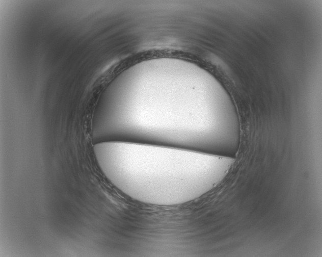 X0000066931064200603240903