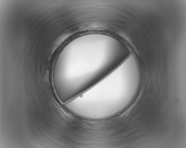 X0000066931066200603240903