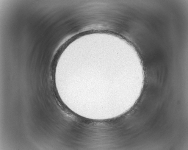 X0000066931070200603240903