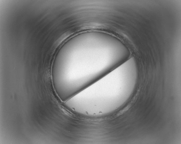 X0000066931073200603240903