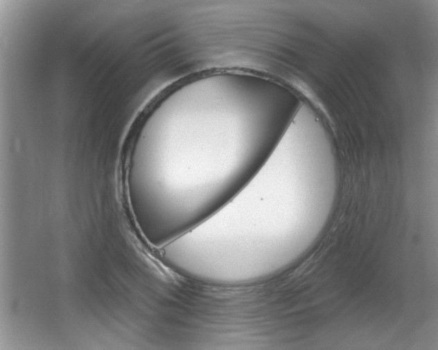X0000066931076200603240902