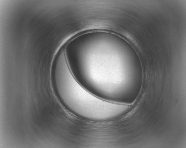 X0000066931077200603240902