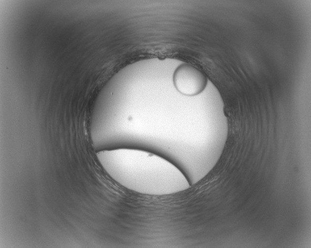 X0000066931106200603240901