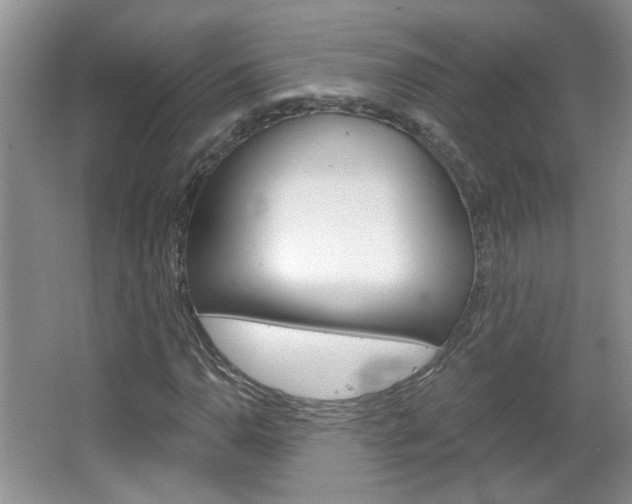X0000066931110200603240901
