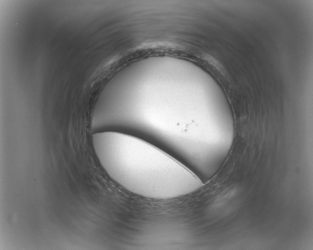 X0000066931111200603240901